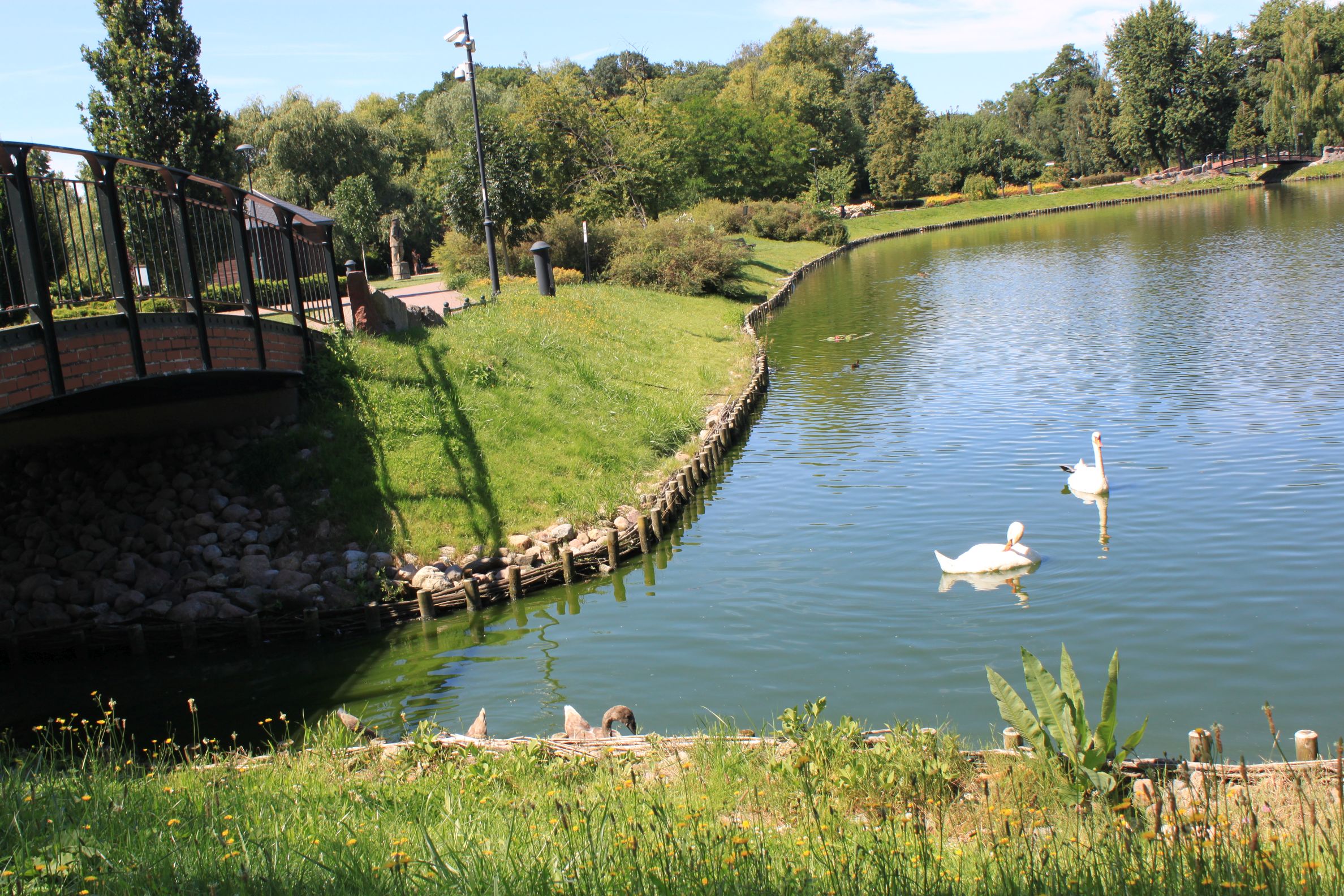 Park Tysiąclecia