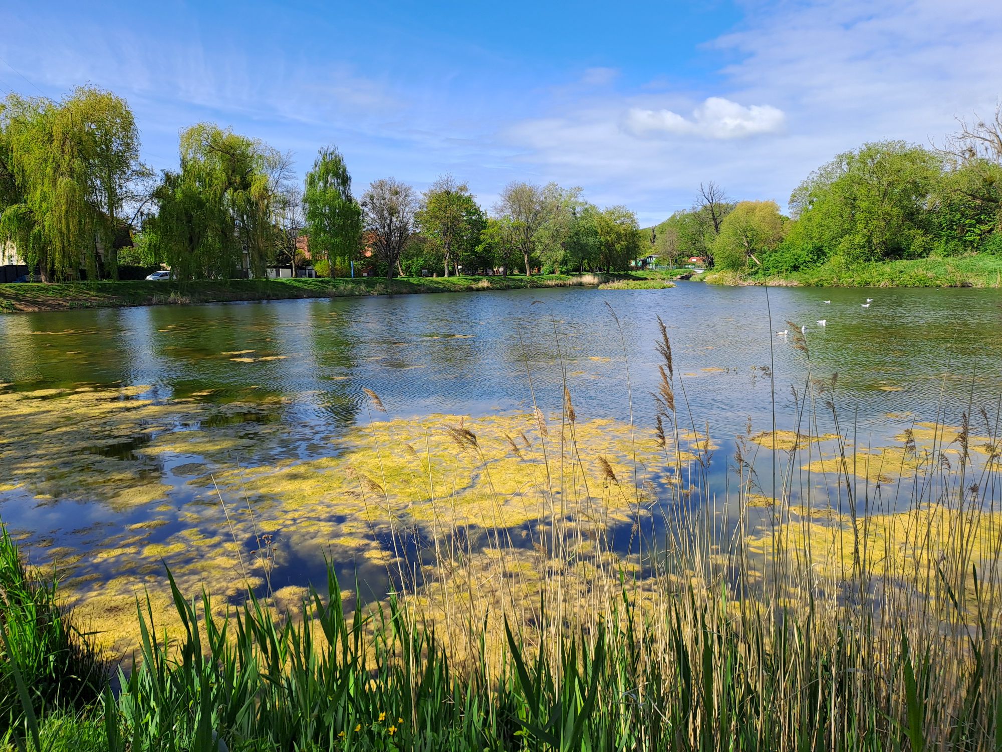 Park Subisława – Gdańsk