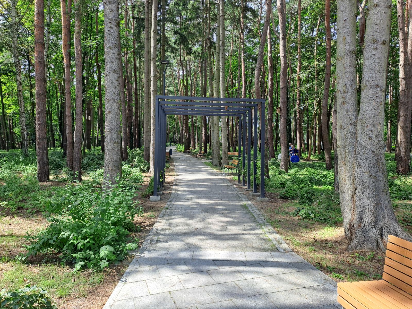 Park im Hieronima Derdowskiego – Władysławowo