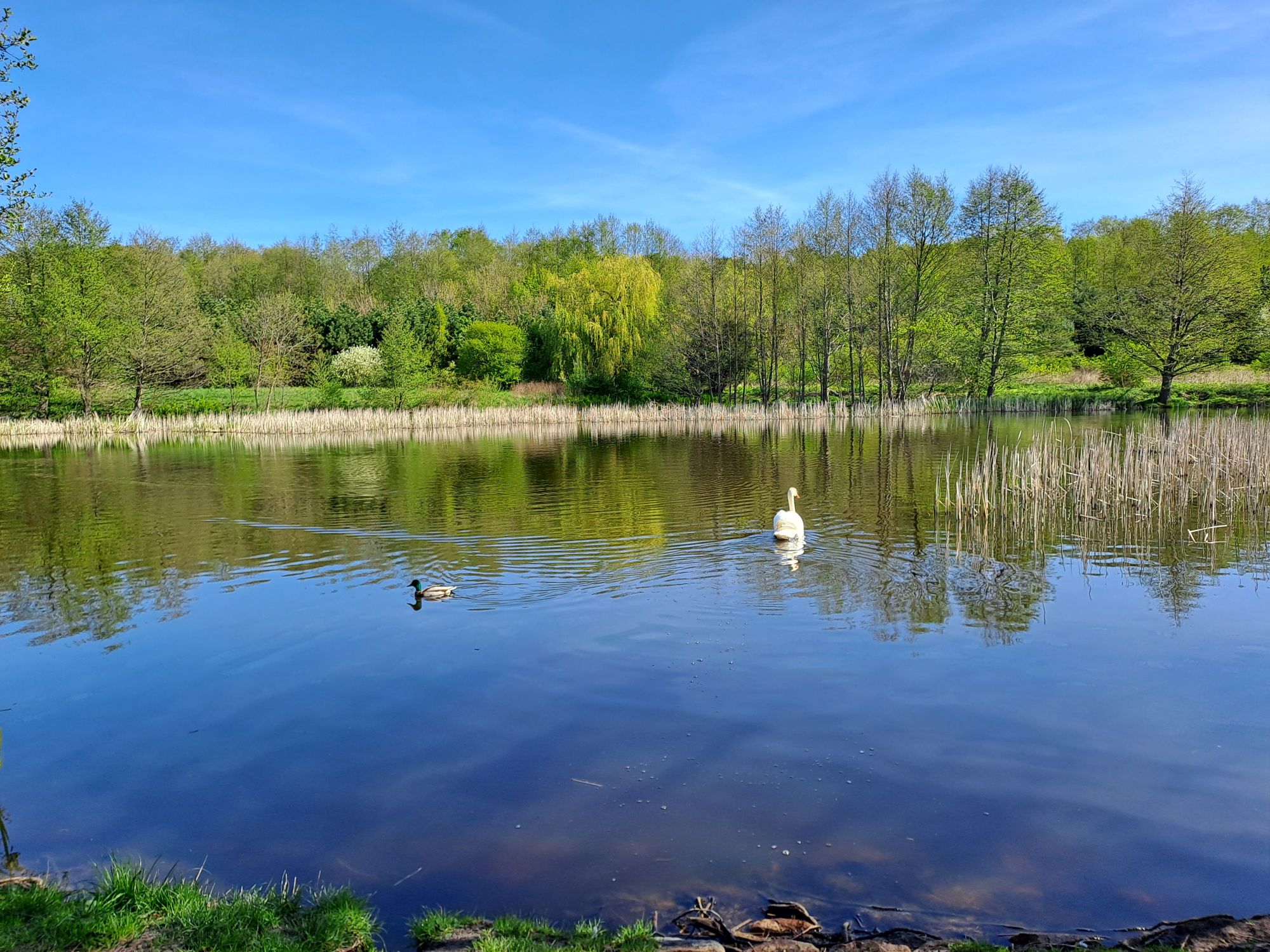 Park im. Ronalda Reagana – Gdańsk