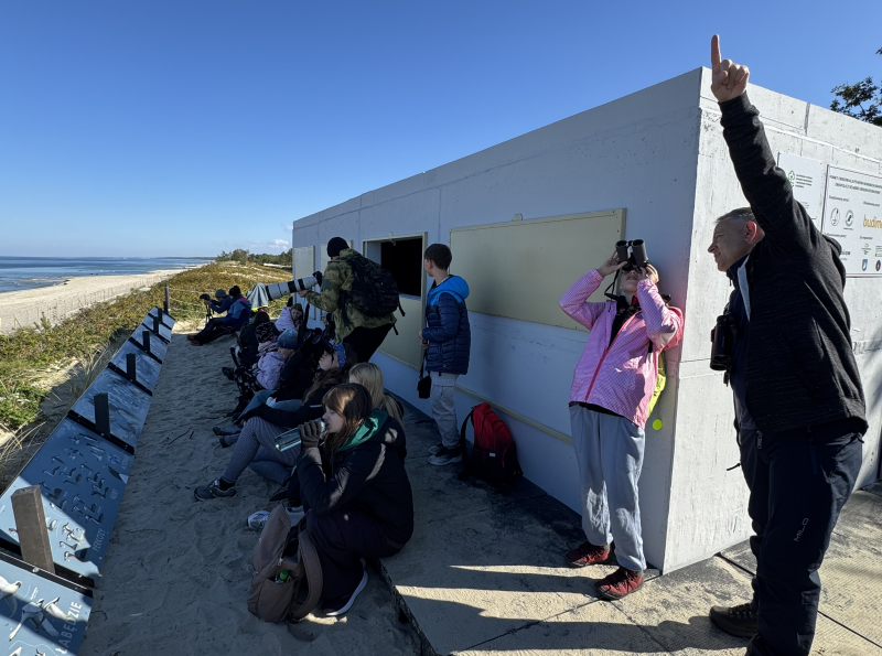 Punkt obserwacji ptaków morskich – Krynica Morska